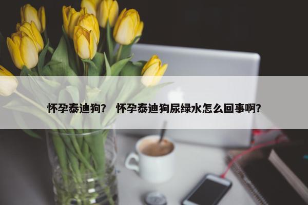 怀孕泰迪狗？ 怀孕泰迪狗尿绿水怎么回事啊？