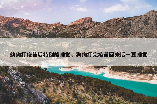 幼狗打疫苗后特别能睡觉，狗狗打完疫苗回来后一直睡觉