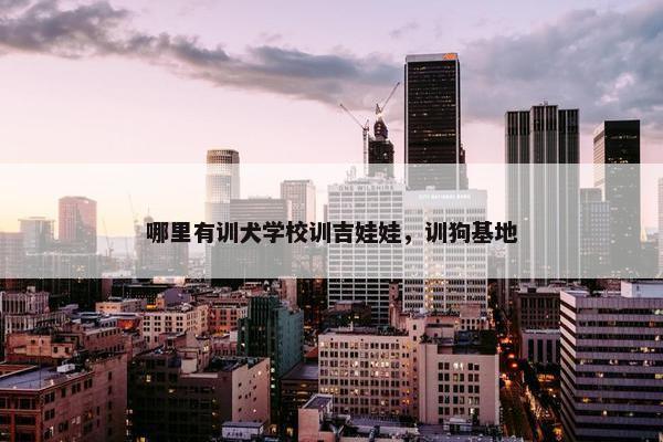 哪里有训犬学校训吉娃娃，训狗基地