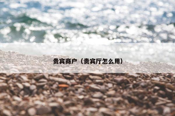 贵宾商户（贵宾厅怎么用）