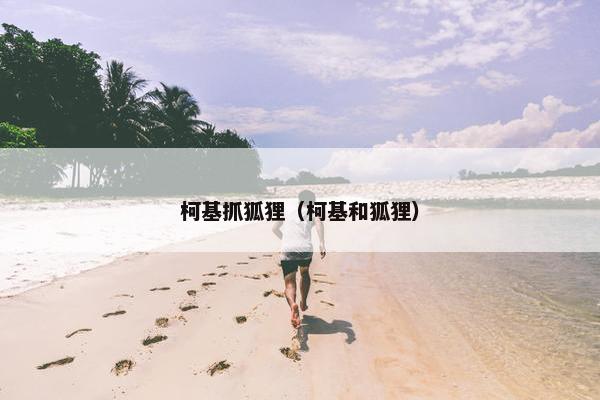 柯基抓狐狸（柯基和狐狸）