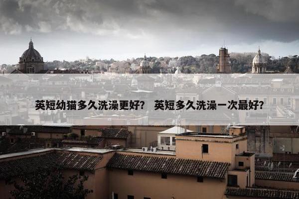 英短幼猫多久洗澡更好？ 英短多久洗澡一次最好？