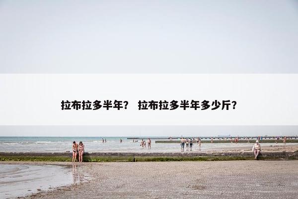 拉布拉多半年？ 拉布拉多半年多少斤？