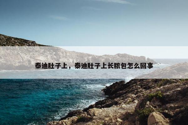 泰迪肚子上，泰迪肚子上长脓包怎么回事
