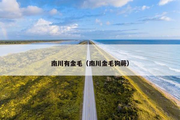 南川有金毛（南川金毛狗蕨）