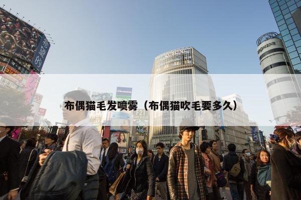 布偶猫毛发喷雾（布偶猫吹毛要多久）