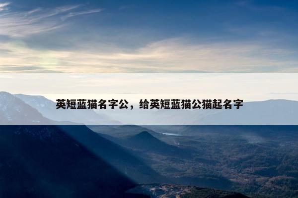 英短蓝猫名字公，给英短蓝猫公猫起名字