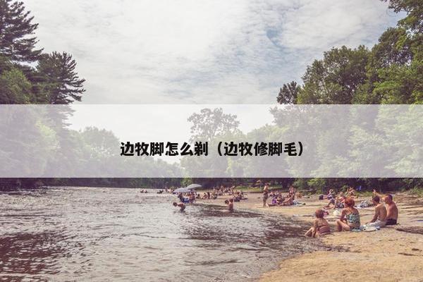 边牧脚怎么剃（边牧修脚毛）