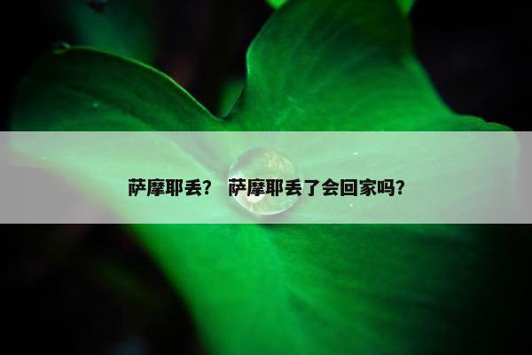 萨摩耶丢？ 萨摩耶丢了会回家吗？