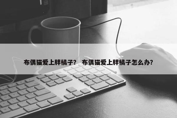布偶猫爱上胖橘子？ 布偶猫爱上胖橘子怎么办？