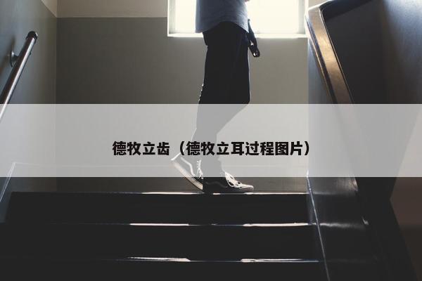 德牧立齿（德牧立耳过程图片）