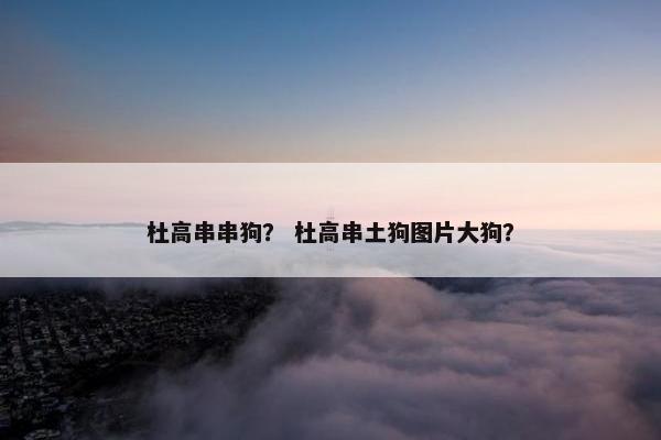 杜高串串狗？ 杜高串土狗图片大狗？