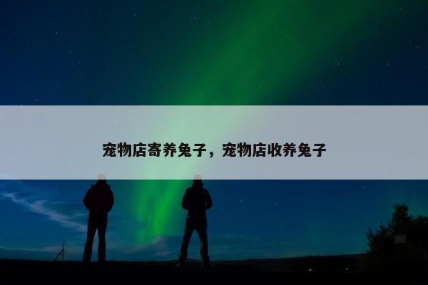 宠物店寄养兔子，宠物店收养兔子