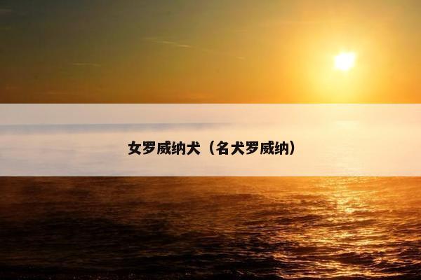 女罗威纳犬（名犬罗威纳）