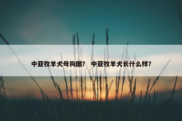 中亚牧羊犬母狗图？ 中亚牧羊犬长什么样？
