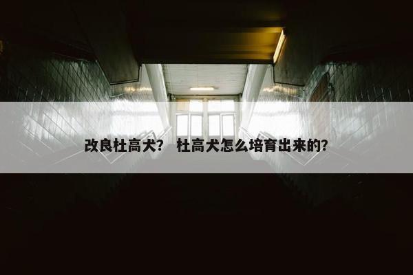 改良杜高犬？ 杜高犬怎么培育出来的？