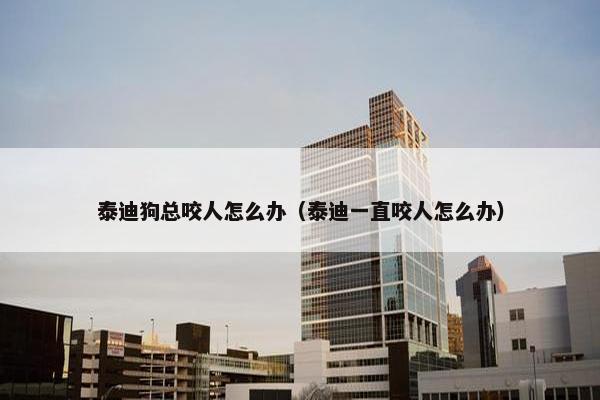 泰迪狗总咬人怎么办（泰迪一直咬人怎么办）