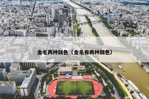 金毛两种颜色（金毛有两种颜色）
