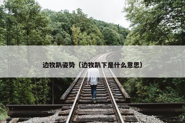 边牧趴姿势（边牧趴下是什么意思）