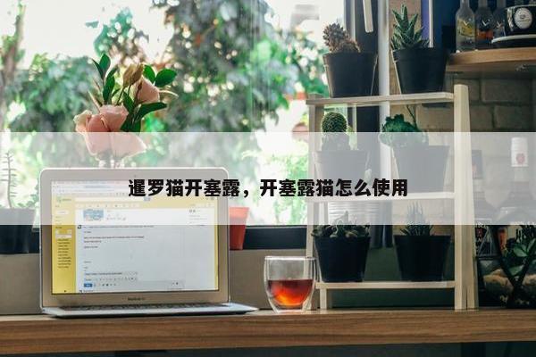 暹罗猫开塞露，开塞露猫怎么使用