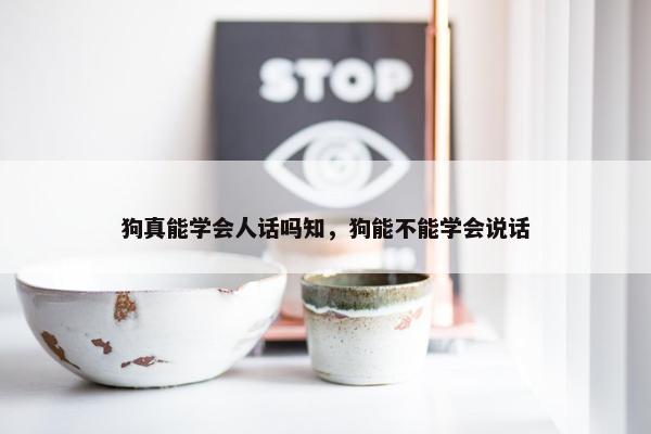 狗真能学会人话吗知，狗能不能学会说话