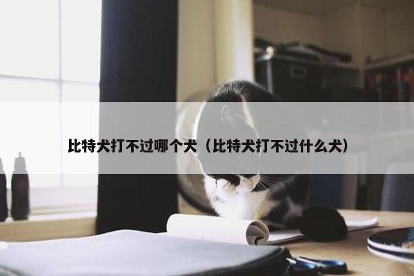 比特犬打不过哪个犬（比特犬打不过什么犬）