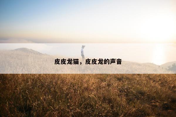 皮皮龙猫，皮皮龙的声音