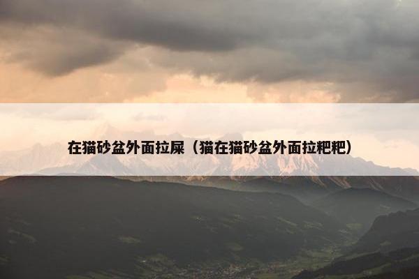 在猫砂盆外面拉屎（猫在猫砂盆外面拉粑粑）