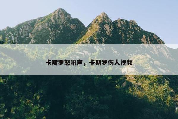 卡斯罗怒吼声，卡斯罗伤人视频