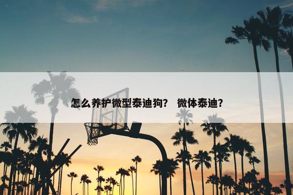 怎么养护微型泰迪狗？ 微体泰迪？