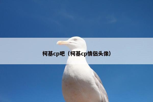柯基cp吧（柯基cp情侣头像）