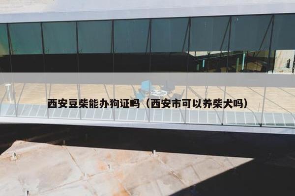 西安豆柴能办狗证吗（西安市可以养柴犬吗）