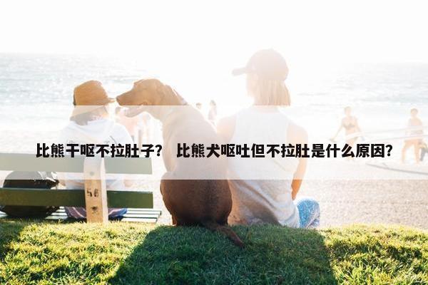 比熊干呕不拉肚子？ 比熊犬呕吐但不拉肚是什么原因？