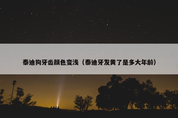 泰迪狗牙齿颜色变浅（泰迪牙发黄了是多大年龄）