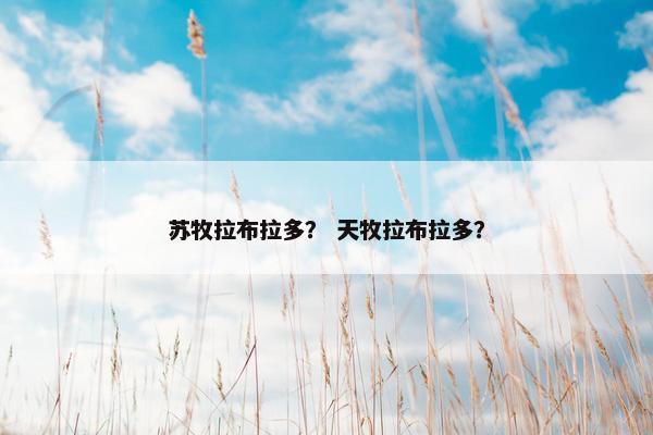 苏牧拉布拉多？ 天牧拉布拉多？