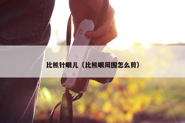 比熊针眼儿（比熊眼周围怎么剪）