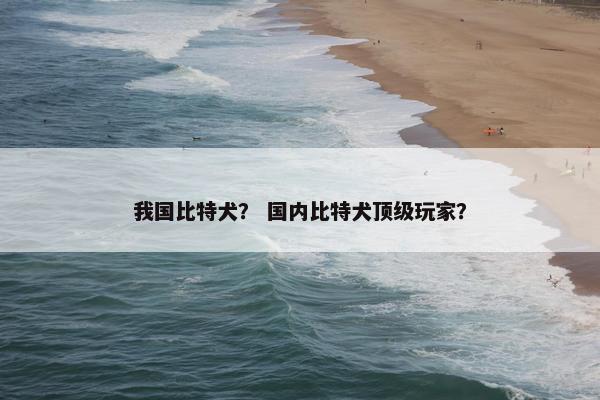 我国比特犬？ 国内比特犬顶级玩家？
