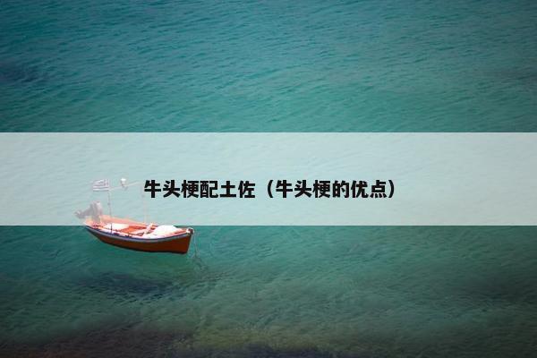 牛头梗配土佐（牛头梗的优点）