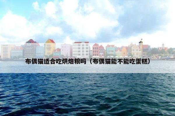 布偶猫适合吃烘焙粮吗（布偶猫能不能吃蛋糕）
