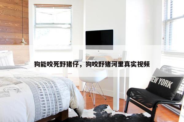 狗能咬死野猪仔，狗咬野猪河里真实视频