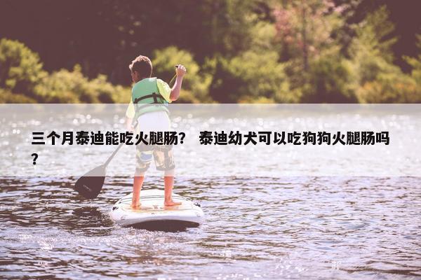 三个月泰迪能吃火腿肠？ 泰迪幼犬可以吃狗狗火腿肠吗？