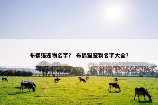 布偶猫宠物名字？ 布偶猫宠物名字大全？