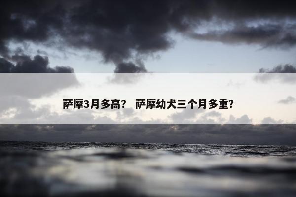 萨摩3月多高？ 萨摩幼犬三个月多重？