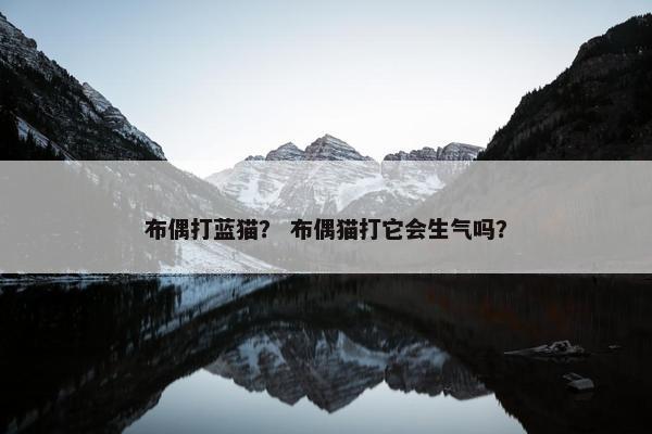 布偶打蓝猫？ 布偶猫打它会生气吗？