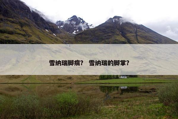 雪纳瑞脚瘸？ 雪纳瑞的脚掌？