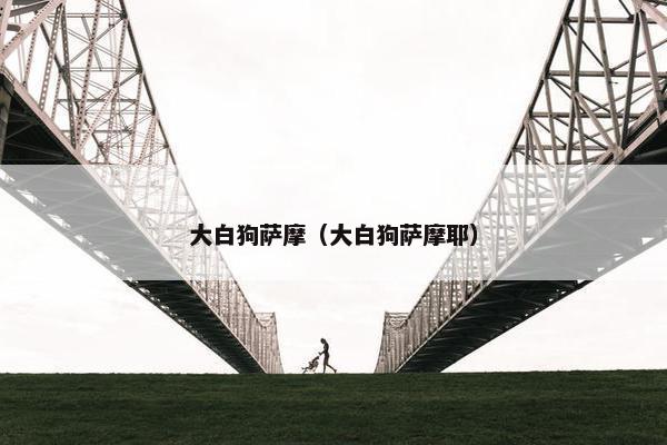 大白狗萨摩（大白狗萨摩耶）