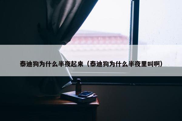 泰迪狗为什么半夜起来（泰迪狗为什么半夜里叫啊）