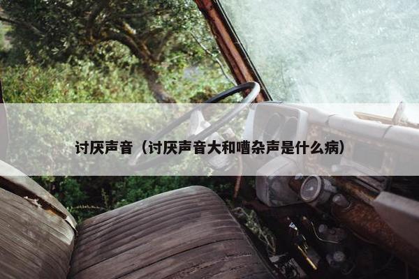 讨厌声音（讨厌声音大和嘈杂声是什么病）