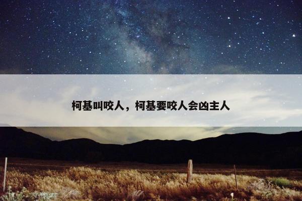 柯基叫咬人，柯基要咬人会凶主人