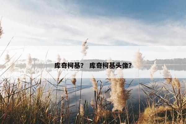 库奇柯基？ 库奇柯基头像？